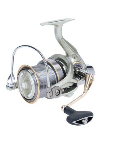 Daiwa Emblem Surf Light 35 SCW QD - Mulinello...