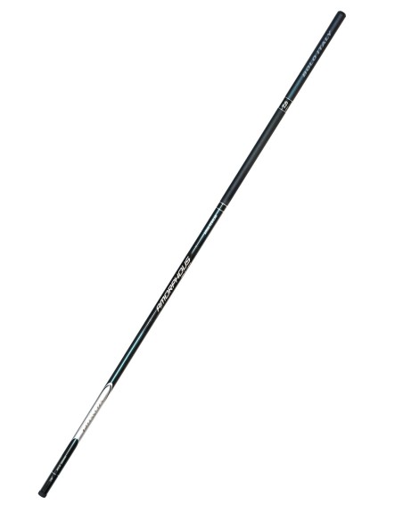 Daiwa Amorphous Bolo - Canna Bolognese