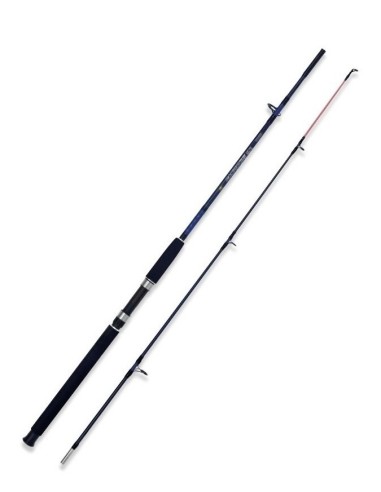 Canna Caspian Pro 1.80 Mt 250 Gr + Lineaeffe...