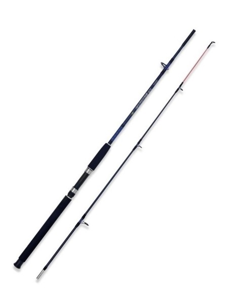 Canna Caspian Pro 1.80 Mt 250 Gr + Lineaeffe Chrono 5000 - Kit Pesca