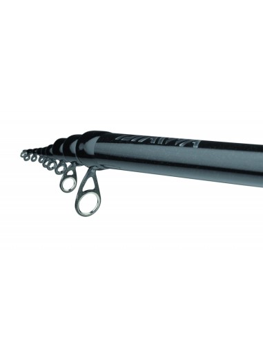Daiwa CANNA 24 TOURNAMENT BOLO LTD con FUJI...