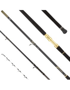 Daiwa CANNA 24 TANACOM DEEP BI - Canna da Pesca in...
