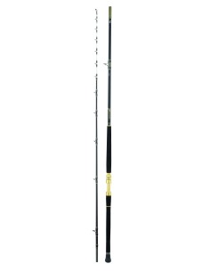 Daiwa CANNA 24 TANACOM DEEP BI - Canna da Pesca in... 2