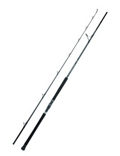 Daiwa CANNA 25 SALTIST SX JIG SPECIAL - Canna da Spinning