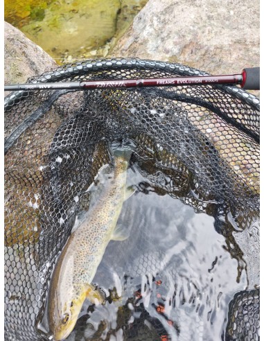 Daiwa CANNA FREAMS EVOLUTION - Canna da Spinning