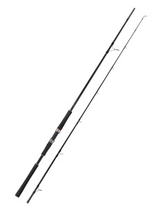 Molix Fioretto Essence Shore Jigging 2pcs - Canna da... 2