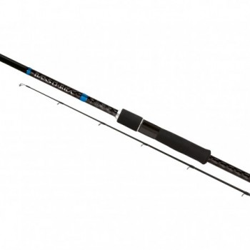 SHIMANO BASSTERRA SPINNING 2