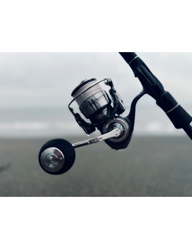 Daiwa 21 Certate Saltwater - Mulinello da Big Game