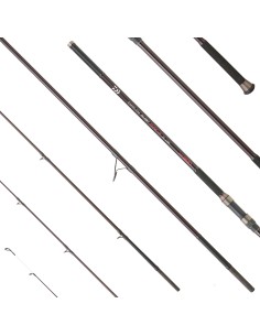 Daiwa CANNA 24 EMBLEM SURF TYPE-R 33 423 H