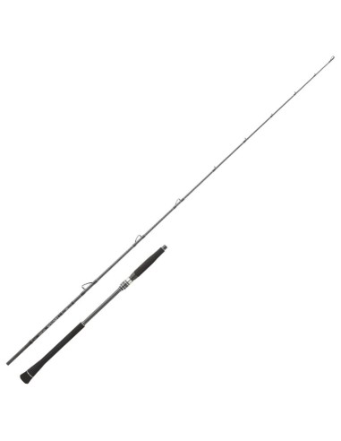 Daiwa Legalis Jigging - Canna da Spinning