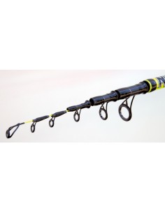 Canna Beach Ledgering Fishing Ferrari Beach Queen 2