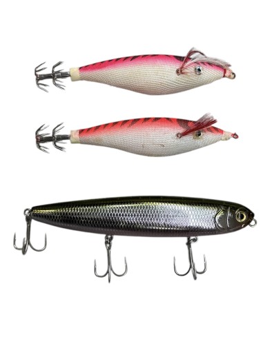 Kit Spinning Canna Shimano FX + Mulinello...