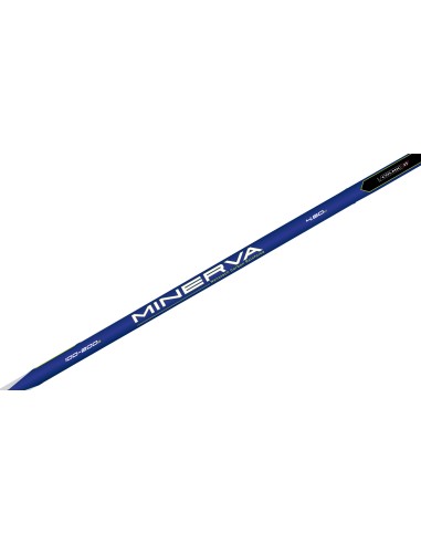 Kit Surfcasting Combo Canna Colmic Minerva 3...