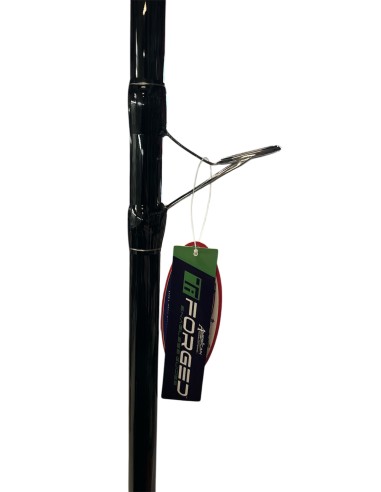 Kit Surfcasting AQS Freelander T-Plus 200gr +...