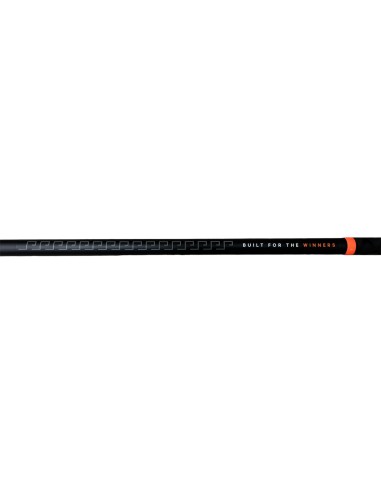 Combo da Surfcasting OXG Nereide 4,20mt +...
