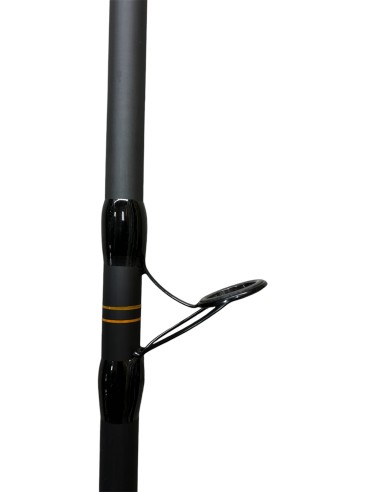 Combo da Surfcasting OXG Nereide 4,20mt +...