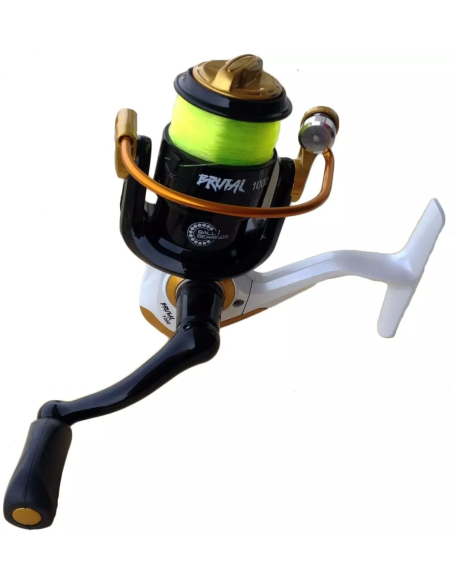 Shimano FX Canna da Spinning + Mulinello Globe Fishing Brutal 3000 + Artificiali Omaggio