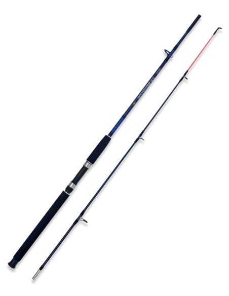 Lineaeffe Caspian Pro 1,80 Mt 250 Gr - Canna Versatile