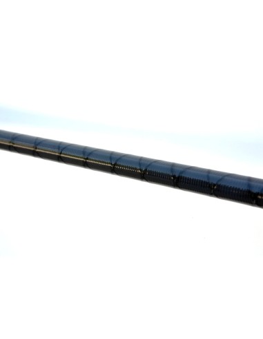 Lineaeffe Lancer 3,60 MT 80 Gr - Canna Telematch