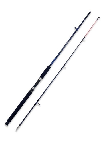Canna Lineaeffe CASPIAN Pro 1.80Mt 250gr +...