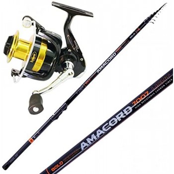 Kit Pesca Bolognese Canna Amacord + Mulinello Most