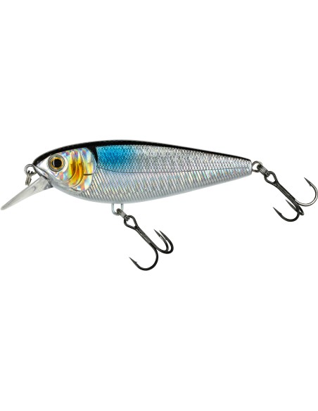 Molix Brugas R - Minnow Jerk Spinning