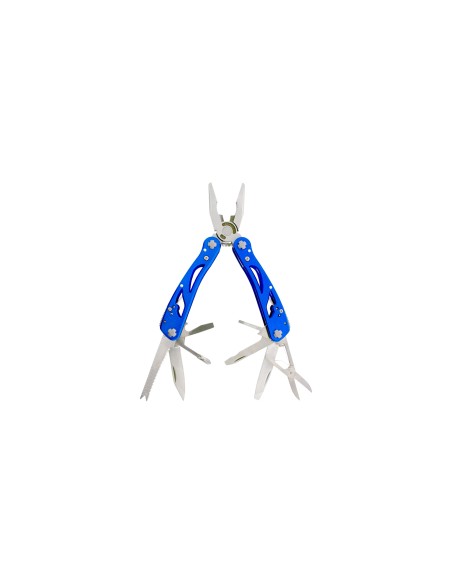 PLIER13