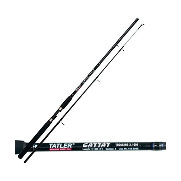 Kit Speed Eging per Pesca Calamaro e Seppia Canna Lineaeffe Squiddy XL 1.60m 150 g Mulinello Lineaeffe Vigor SL FD 3000 